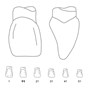Odus Pella Transparent Crown Forms Centrals 11