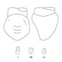 Odus Pella Transparent Crown Forms Canines 13