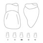 Odus Pella Transparent Crown Forms Laterals 22