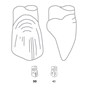 Odus Pella Transparent Crown Forms Extra Large Canines 33