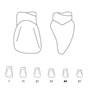 Odus Pella Transparent Crown Forms Centrals 41