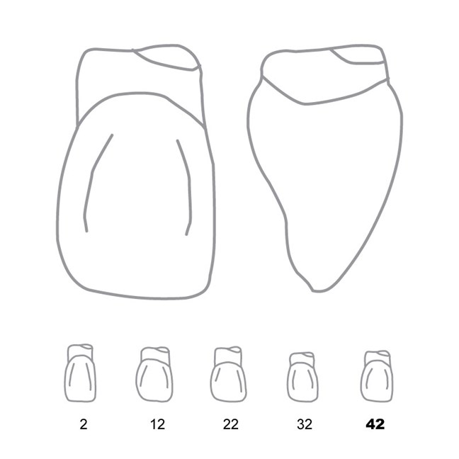 Odus Pella Transparent Crown Forms Laterals 42