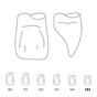Odus Pella Transparent Crown Forms Central-Cervical Part Enlarged 151
