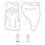 Odus Pella Transparent Crown Forms Extra Large Centrals 161
