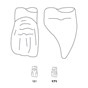 Odus Pella Transparent Crown Forms Extra Large Centrals 171