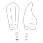 Odus Pella Transparent Crown Forms Lower Canines 203