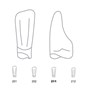 Odus Pella Transparent Crown Forms Lower Incisors 211