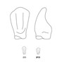 Odus Pella Transparent Crown Forms Lower Canines 213