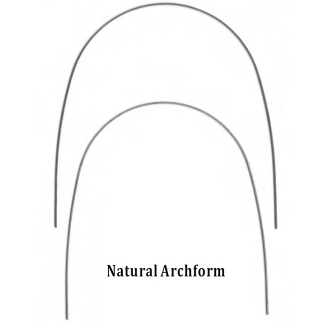 NiTi 012 Lower Natural