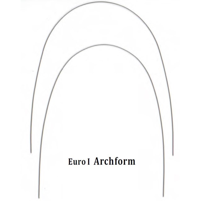 NiTi 016 Lower Euro
