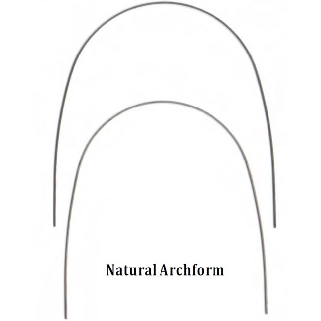 NiTi Heat-Activated 16x22 Lower Natural